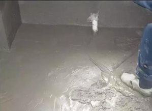 衛(wèi)生間裝修防水指南 施工次數(shù)與材料選購(gòu)詳解