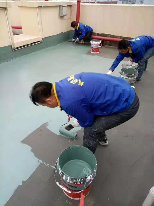 工廠(chǎng)直供 解鎖屋頂防水涂料與縫隙補(bǔ)漏材料的高性?xún)r(jià)比之選